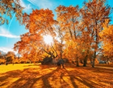 Oktober