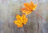 Oktober 2