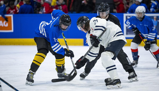 Digitale Bezahlmöglichkeiten rund um den Besuch von Eishockeyspielen